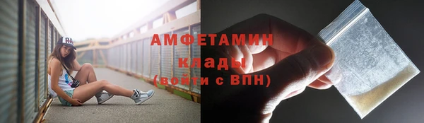крисы Абаза