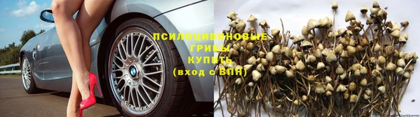 ГАЛЛЮЦИНОГЕННЫЕ ГРИБЫ Абинск