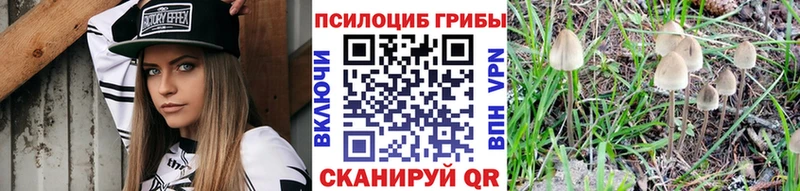 Псилоцибиновые грибы мицелий  blacksprut маркетплейс  Алагир 