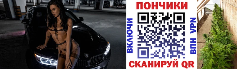 Бошки марихуана сатива  магазин продажи   Алагир 